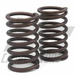 EC Carburetors Valve Springs