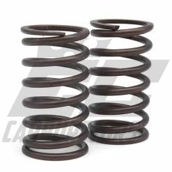 EC Carburetors Valve Springs
