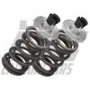 EC Carburetors EC 6mm Billet Titanium Retainers W/EC 270 Dual Springs