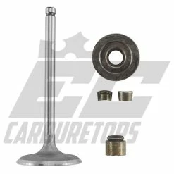 EC Carburetors Briggs Model 31 Intake Valve